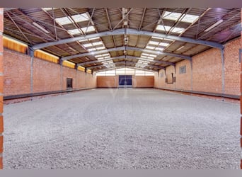 Einzigartige Reitanlage mit sehr gepflegtem Wohnhaus in Jülich