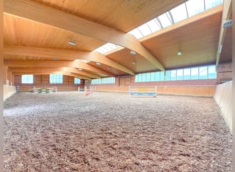 Exklusiv und zentral: Reetdachhaus mit privater Reitanlage