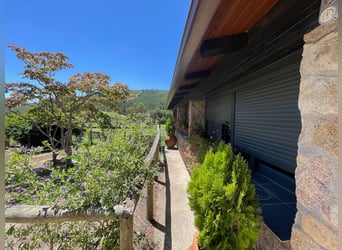 Farm For Recreation And Big Game Hunting.
