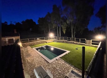 Farm For Recreation And Big Game Hunting.