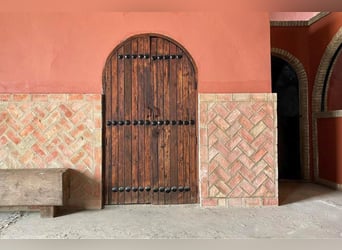 Finca De Ensueño De Más De 90 Ha Cerca De Sevilla