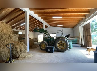 Gestüt in Portugal zu verkaufen – 40 Hektar Land, Privatseen und vieles mehr…