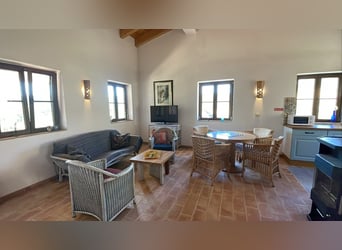 Gestüt in Portugal zu verkaufen – 40 Hektar Land, Privatseen und vieles mehr…