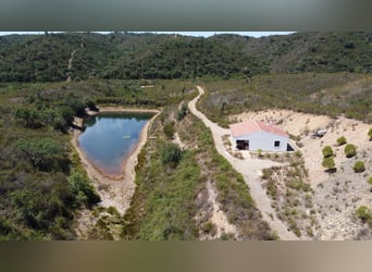 Gestüt in Portugal zu verkaufen – 40 Hektar Land, Privatseen und vieles mehr…