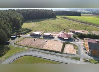 Große Reitanlage in idyllischer Alleinlage mit exklusivem Wohnhaus und mehreren Ferienhäusern