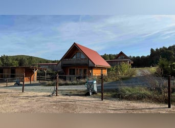 Große Reitanlage in idyllischer Alleinlage mit exklusivem Wohnhaus und mehreren Ferienhäusern