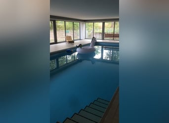 Große Reitanlage in idyllischer Alleinlage mit exklusivem Wohnhaus und mehreren Ferienhäusern