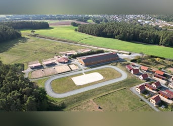 Große Reitanlage in idyllischer Alleinlage mit exklusivem Wohnhaus und mehreren Ferienhäusern