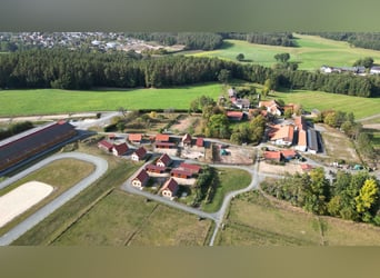 Große Reitanlage in idyllischer Alleinlage mit exklusivem Wohnhaus und mehreren Ferienhäusern