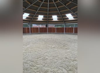 Große Reitanlage in idyllischer Alleinlage mit exklusivem Wohnhaus und mehreren Ferienhäusern