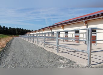 Große Reitanlage in idyllischer Alleinlage mit exklusivem Wohnhaus und mehreren Ferienhäusern