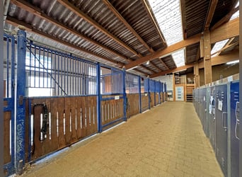 Große Reitanlage mit mehreren Wohneinheiten im Norden Frankfurts