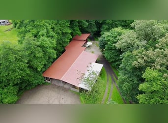 Großzügiger Offenstall zu verkaufen in Stromberg mit Sandplatz und Reiterstübchen – die Red Hawk Ran