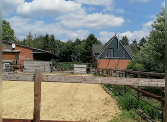 Kernsaniertes Landhaus auf 2,9 Hektar mit privater Reithalle, Reitplatz, Innen-und Außenboxen
