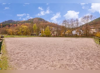 Kompakte Reitanlage im Schwarzwald mit gewerblicher Pferdehaltung!