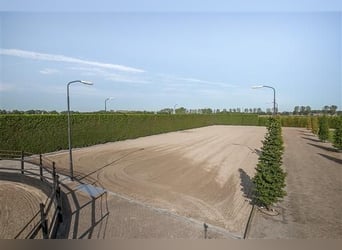 LUXUS Reitanlage nähe Deutsche Grenze in NL