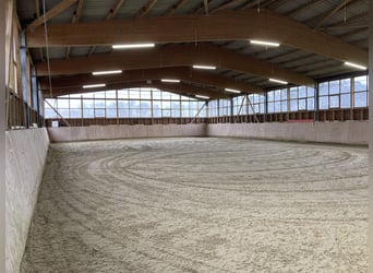 Nähe Vechta !  Geniale Reitanlage in traumhafter Alleinlage mit ca. 7 Hektar   **Provisionsfrei**
