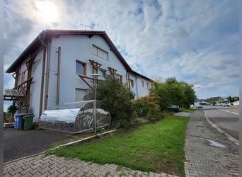 Pferdebetrieb mit lukrativem, großem Wohnhaus im Raum Darmstadt-Dieburg