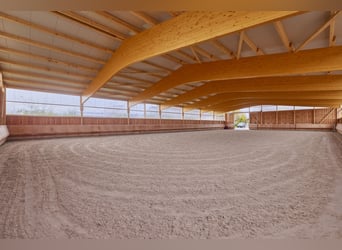 Pferdeimmobilie im Schwarzwald mit neuer Reithalle & Privatstallungen