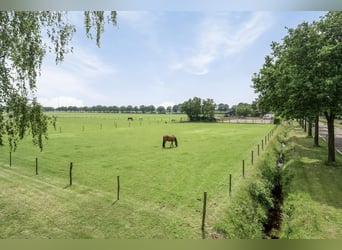 Property that offers plenty of opportunities for hobby or (semi)professional horse enthusiast!