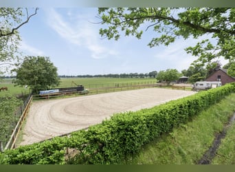 Property that offers plenty of opportunities for hobby or (semi)professional horse enthusiast!