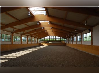 Reitanlage zu pachten gesucht für Reitbetrieb im deutschsprachigen Raum