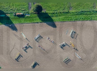 Reitanlage zu pachten gesucht für Reitbetrieb im deutschsprachigen Raum