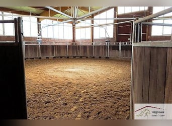 Reitsportanlage - Gestüt nähe Lingen Niedersachsen Deutschland