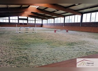 Reitsportanlage - Gestüt nähe Lingen Niedersachsen Deutschland