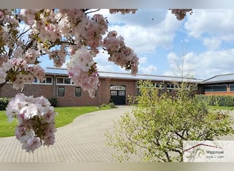 Reitsportanlage - Gestüt nähe Lingen Niedersachsen Deutschland