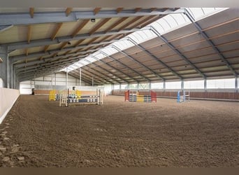 Renovated equestrian facility for sale! 