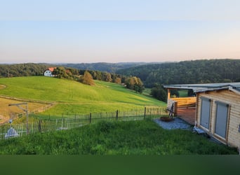Top gepflegte Reitsportanlage mit Sportstätten-Widmung. 