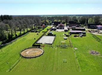 Urlaub zu Hause - Junge Villa mit privater Pferdehaltung Nahe der Ostsee