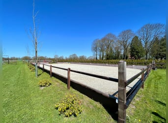 Urlaub zu Hause - Junge Villa mit privater Pferdehaltung Nahe der Ostsee