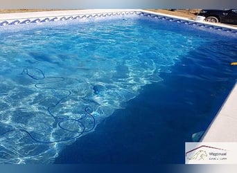 Zwei Fincas mit möglichkeit für Pferdehaltung, Andalusien, Spanien