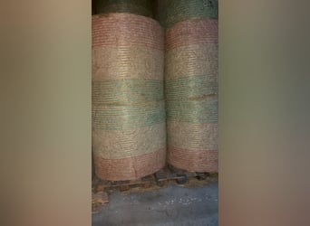 Biologisch paardenhooi en grasklaver