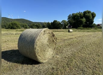 Heu in Rundballen