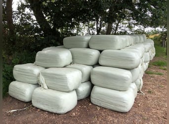 BIO-hooi, kuilvoer, silage, kleine balen