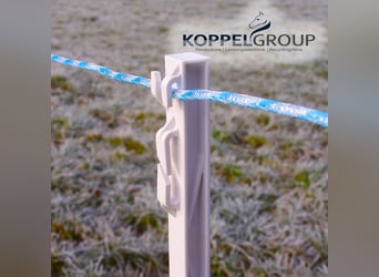 Weidekordel, MAXALON, Weidezaunseil, Koppeldraht, 500m 6mm