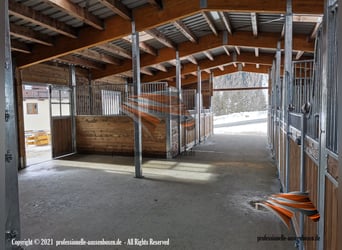 AMERICAN BARN - TOP Stallbau, Pferdestall bauen, Außenboxen und Pferdeboxen, Offenstall, Weidehütte