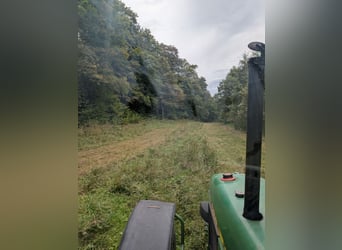 Dienstleistungen für Private Pferdehalter 