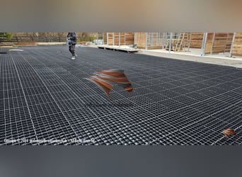 Top-Qualität: Paddockmatten, Rasengitter, Kiesgitter, Kieswaben, Reitplatzplatten & Paddockplatten