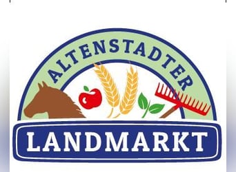 Leinstrohballen 