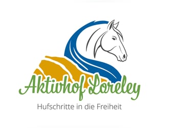 Een thuis voor seniorenpaarden