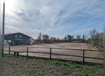 Nieuwe actieve stal mei 2026, München Oost, 2 binnenbakken