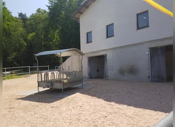 1 Offenstallplatz in Künzell ab April frei I Reithalle vorhanden
