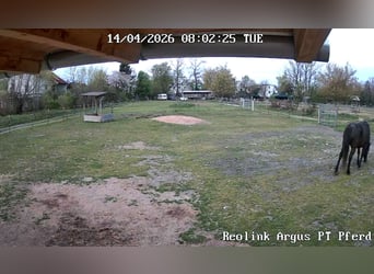 ...een plek voor jouw merrie...