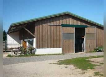 Einstellplatz im Offenstall