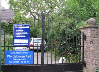 Offenstall für Rentner/Rekonvaleszens/Freizeitpferde