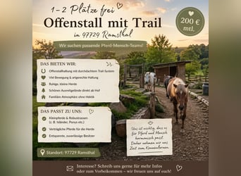 Open stable trail